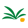 Hawaii Gifts Warehouse