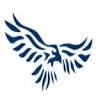 Hawk Financial Group