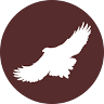 Hawk's View Cottages and Lodges