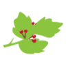 Hawthorn Clinic Inc