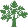 Haw Wood Farm Caravans and Camping