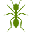 Haydee's Pest Free Management