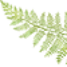Hayvore