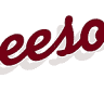 Gleeson & Associates PTY LTD