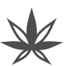 Headshop HR