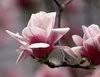 Healing Through Touch Massage