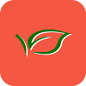 Healthwise Pharmacy