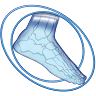 Foot & Ankle Physicians & Surgeons, Perrysburg