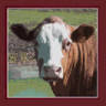 Heartland Fresh Family Farm