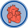 Mid-Atlantic Surgical Associates