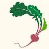 Hearty Roots Community Farm
