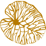 Fysiotherapie en acupunctuur Zutphen