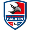 Heilbronner Falken Fanshop