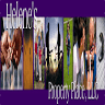 Helene's Property Place LLC