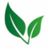 Hendriks tuinprojecten