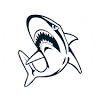 Henley Sharks Football & Netball Club