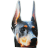 Henson's Doberman Pinscher Puppies