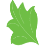 Herba Fructus Natyrore