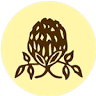 Herbarium