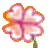 Herbolario Mejorana