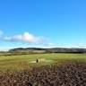 Herons View Care Farm