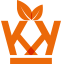 King Park Foundation