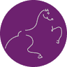 The White Horse