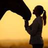 Hawkesbury Equine Veterinary Centre