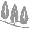 Dr. Jonathan P. Bradshaw, DDS