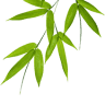 Healing Garden Therapies LLC