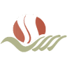Healing Hands Chiropractic & Weight Loss