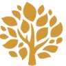 Hollywood Institute