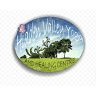 Hidden Valley Yoga - Online