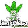 Hierbaloca Growshop