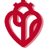 Cirugia Vascular Panamá y Pie Diabético