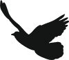 Edward J. Hildenbrand Funeral Home Inc