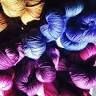 Hillcreek Yarn & Fiber