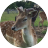Hill Farm Massingham B&B