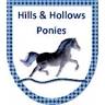 Hills and Hollows Horse Riding School