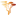 HIMBA TOURS