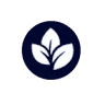 Precision Dental Group