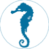 KŠP Hippocampus Martin