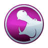 Hippo Motor Group