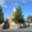 Tasmanian Family History Society