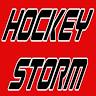 Hockey Storm