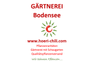 Gärtnerei Bodensee - www.hoeri-chili.com