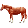 Hoffmann Stables & Tack Shop LLC