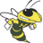 Hastings High School