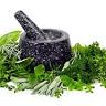 Holistic Chefs of America LLC