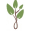 Holland Soil